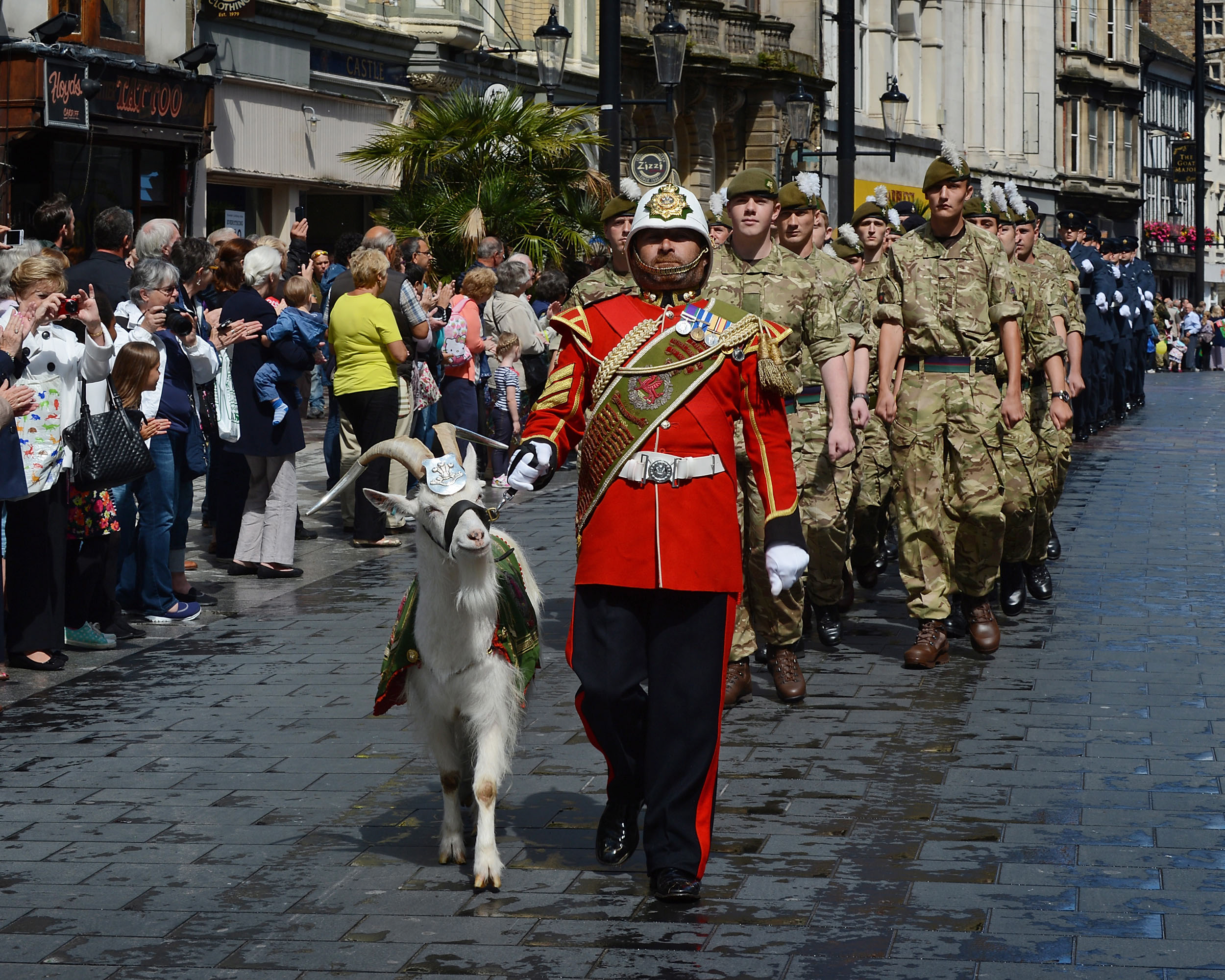 The Royal Regimental Goat (mascot) of the Royal Welsh Regiment with the Goat Major leading the Royal Welsh Regiment through the streets of Cardiff as part of Armed Forces Day 2014